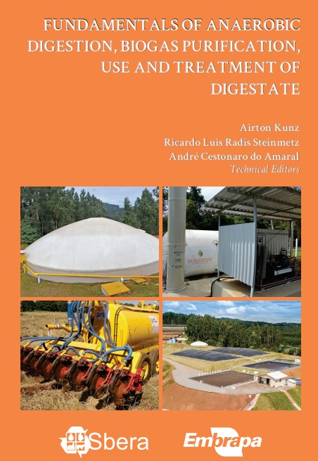 livro airton 2022