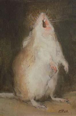 singing mouse 400