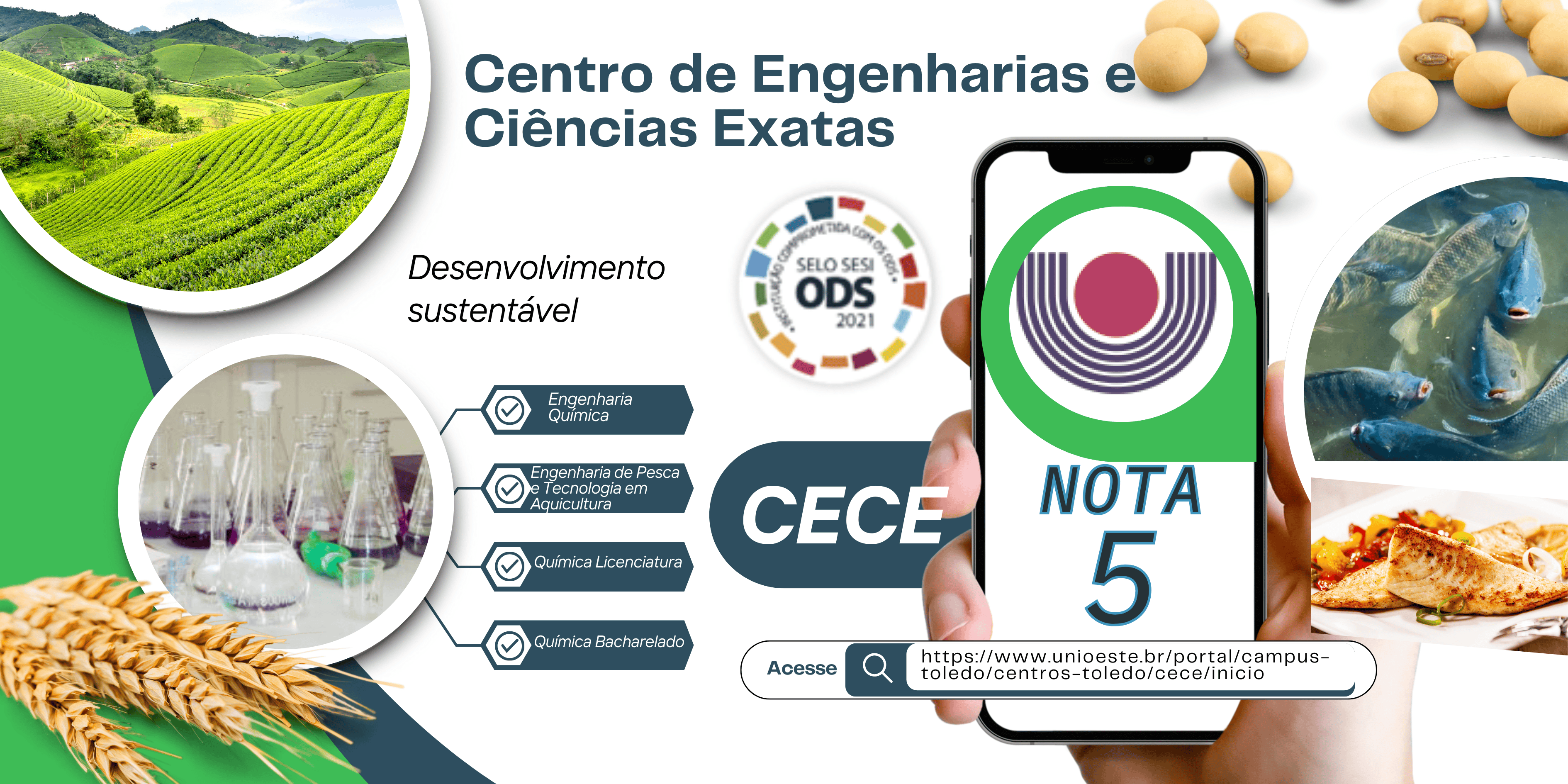 Centro de Engenharias e Ciências Exatas 1