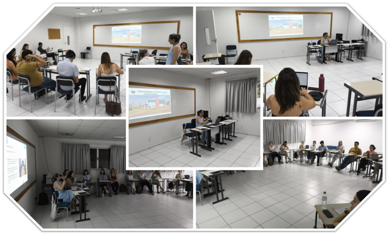 Montagem2