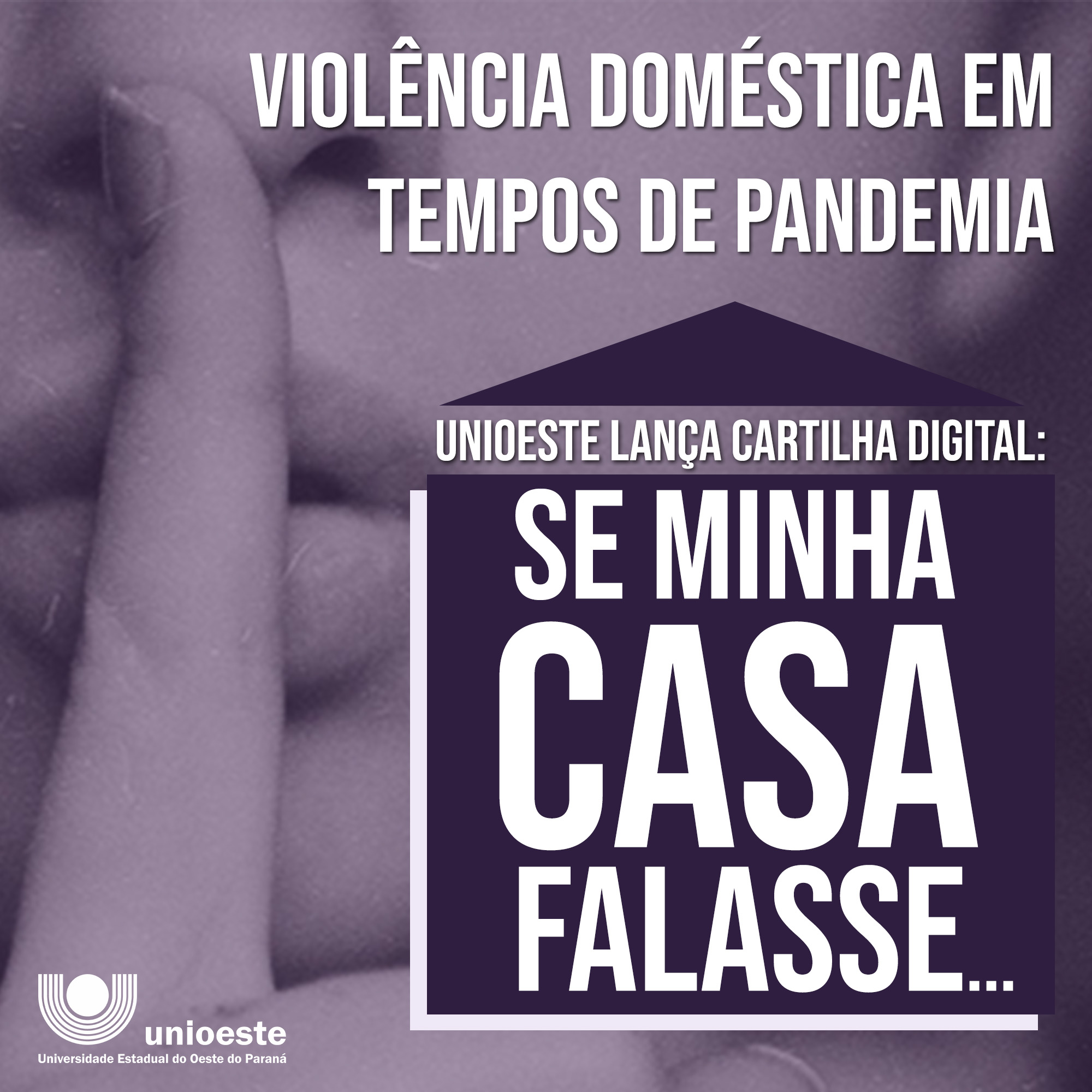 Núcleo Maria da Penha: Webnário aborda enfrentamento e prevenção da violência doméstica durante a pandemia