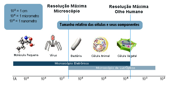 tabelas microscpio ptico